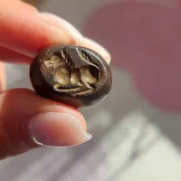 مهره سنگ کهنه