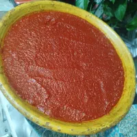 رب خانگی با ضمانت