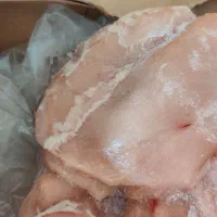 فروش عمده محصولات مرغ گرم و منجمد
