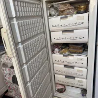 فریزر ارج