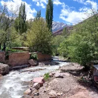 تور فشم یکروزه  کنار خنکای رودخانه خروشان