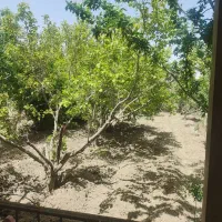 باغ دیوار کشی آماده ساخت نقد اقساط