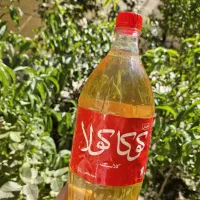 آبغوره خانگی