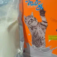 شیر خشک گربه