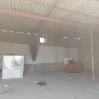 نگهبان قالیشویی مجرد دائمی