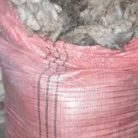 پشم گوسفندی