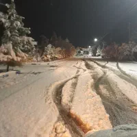 باغچه-کاهو
