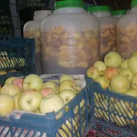 حراج سرکه سیب،خرما،انگور سنتی