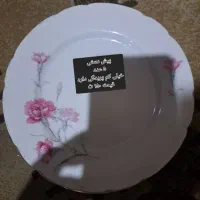 گل سرخی گل گندمی گل میخک گل پنبه بشقاب  قلم آبی