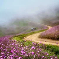 تور 6 روزه سوباتان تا ماسال