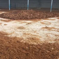 کود گاوی.خشک شده