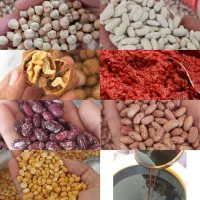 مواد غذایی