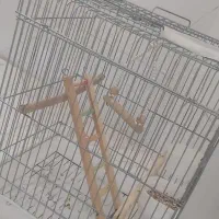 قفس پرنده