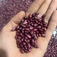 لوبیا قرمز پاک شده فروش فووری