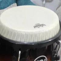 هد یا پوست رمو آمریکا