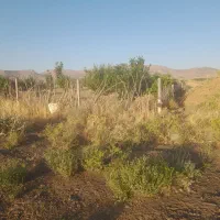 زمین ،هرسین، چیاسی