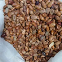 مقدار ۱۷تن لوبیا چیتی ازبکستانی تاریخ گذشته