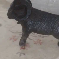 قوچ