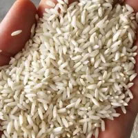 برنج عنبربو خورستان (خالص و عطری) ( کالابرگ)