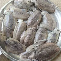عنکاس سایز متوسط فقط ۴۵۰حراج