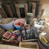 گلدان نصف قیمت