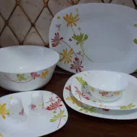 ظروف پذیرایی درحد نو