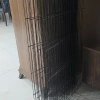 پارک سگ