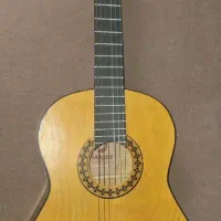 گیتار سالم نو نو
