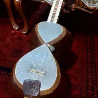 تار  با قیمت ‌مناسب و منصفانه