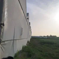 اجاره گلخانه