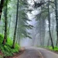 راهنمایی میخام