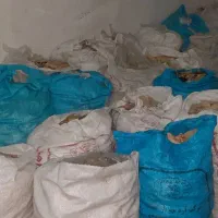نان خشک