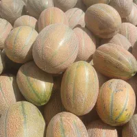 جانا|خوردنی و آشامیدنی|حاجی آباد, |دیوار