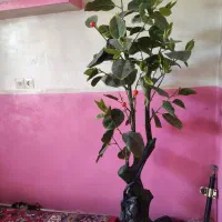 درختچه مصنوعی