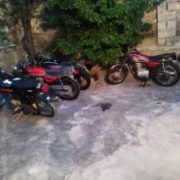 موتور مزایده