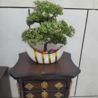 گل رومیزی