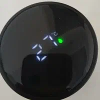 فلاسک