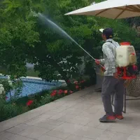 سمپاشی باغبانی زیرنظر گیاهپزشک تشخیص مریضی گل گیاه