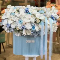 جام گل باکس گل