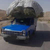 یونجه سبیس بیده