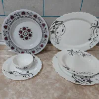 سرویس آرکوپال درحدنو