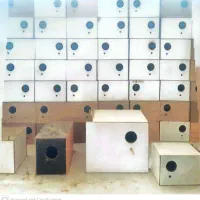 تولیدی انواع لونه پرندگان
