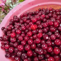 هسته گیری البالو با دستگاه