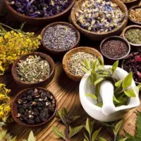 کار آسان برای بانوان