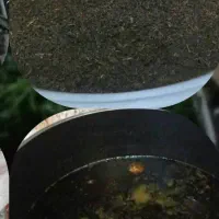 سبزی خشک شده