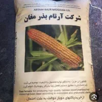 ۱۶ کیلو بذر ذرت ۷۰۴