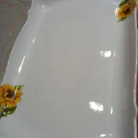 برای پذیرایی
