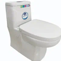 توالت فرهنگی