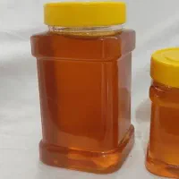 عسل کوهستانی خالص