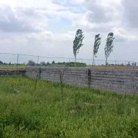 زمین باغی رادکان